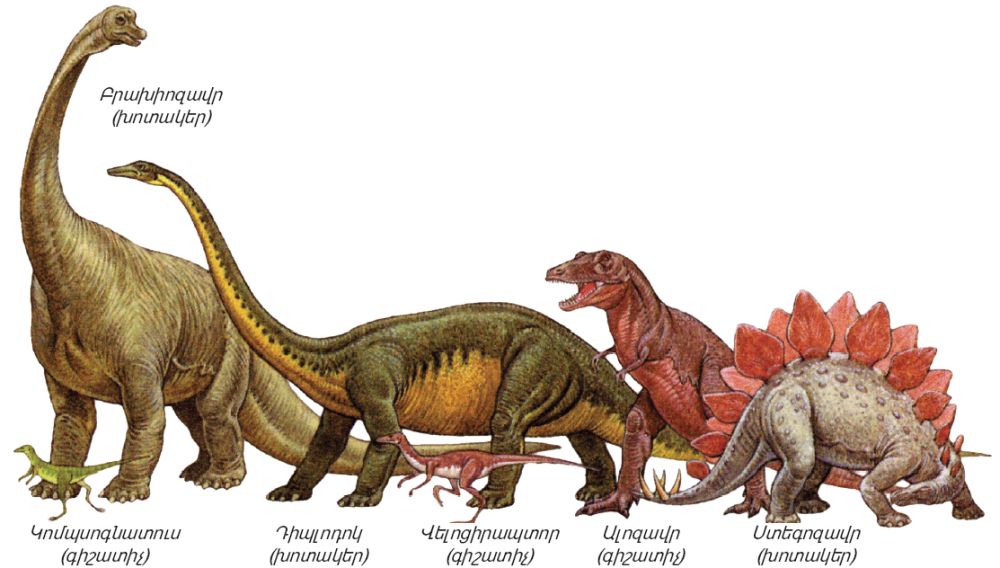 Դինոզավրի մասին հետաքրքիր փաստեր — 💗Մարիաննա Մանուկյան 💗